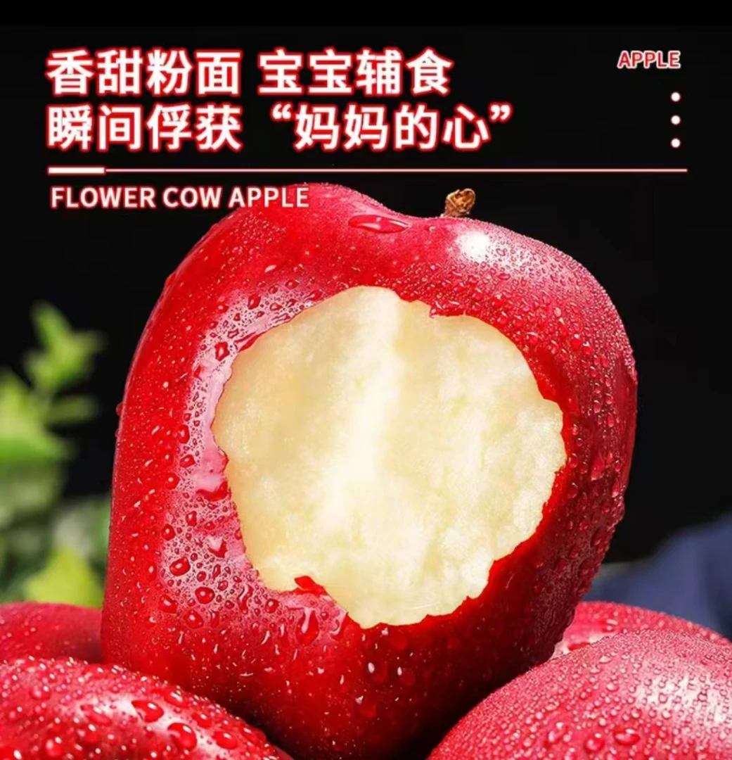 【中秋福利】甘肃老树花牛苹果5斤包邮，粉糯香甜