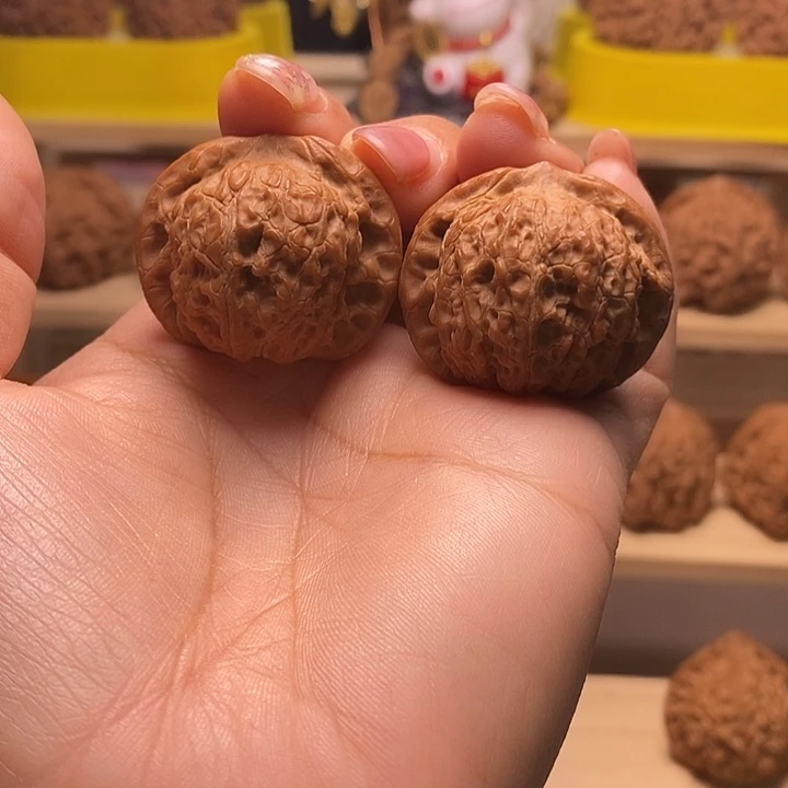 36尺寸原桩血麒麟