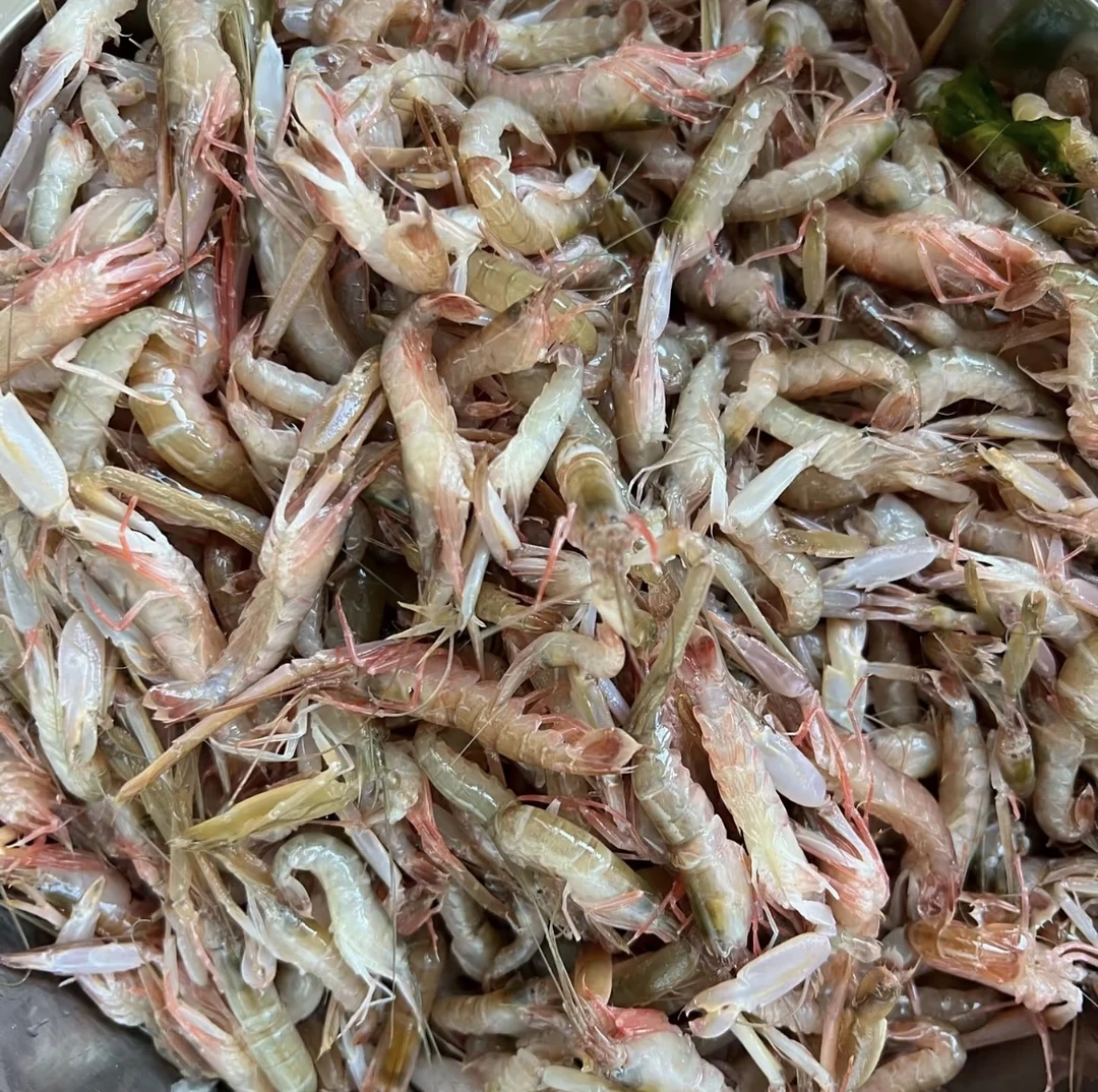 大连嘎吧虾/夹板虾（小体型虾大小混介意勿拍顺丰干冰冷冻发货）