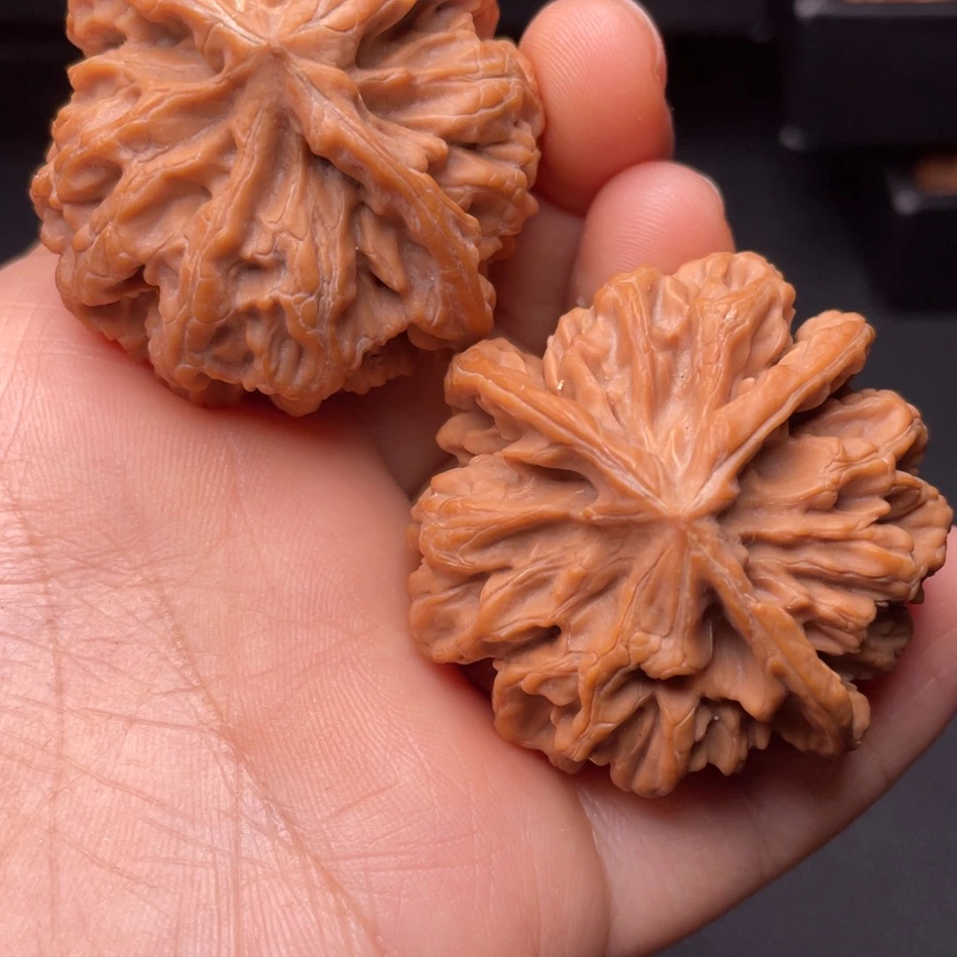 秦岭山脉文玩核桃