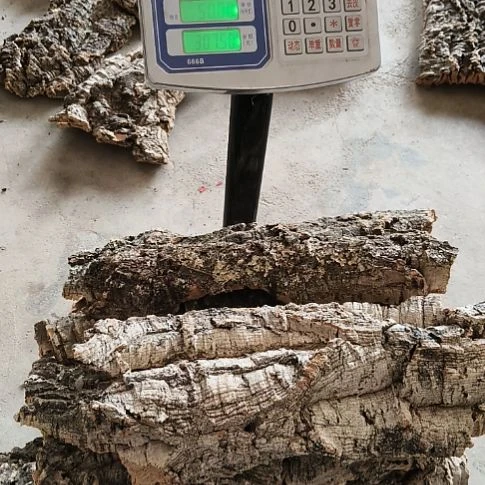 木一物一拍一物一发