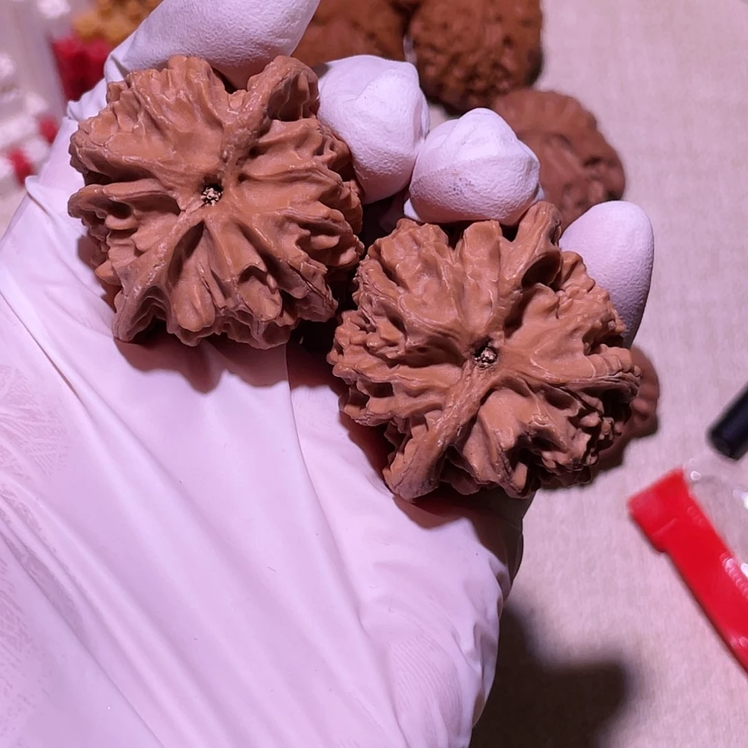 【闪购商品】b****a40苹果园