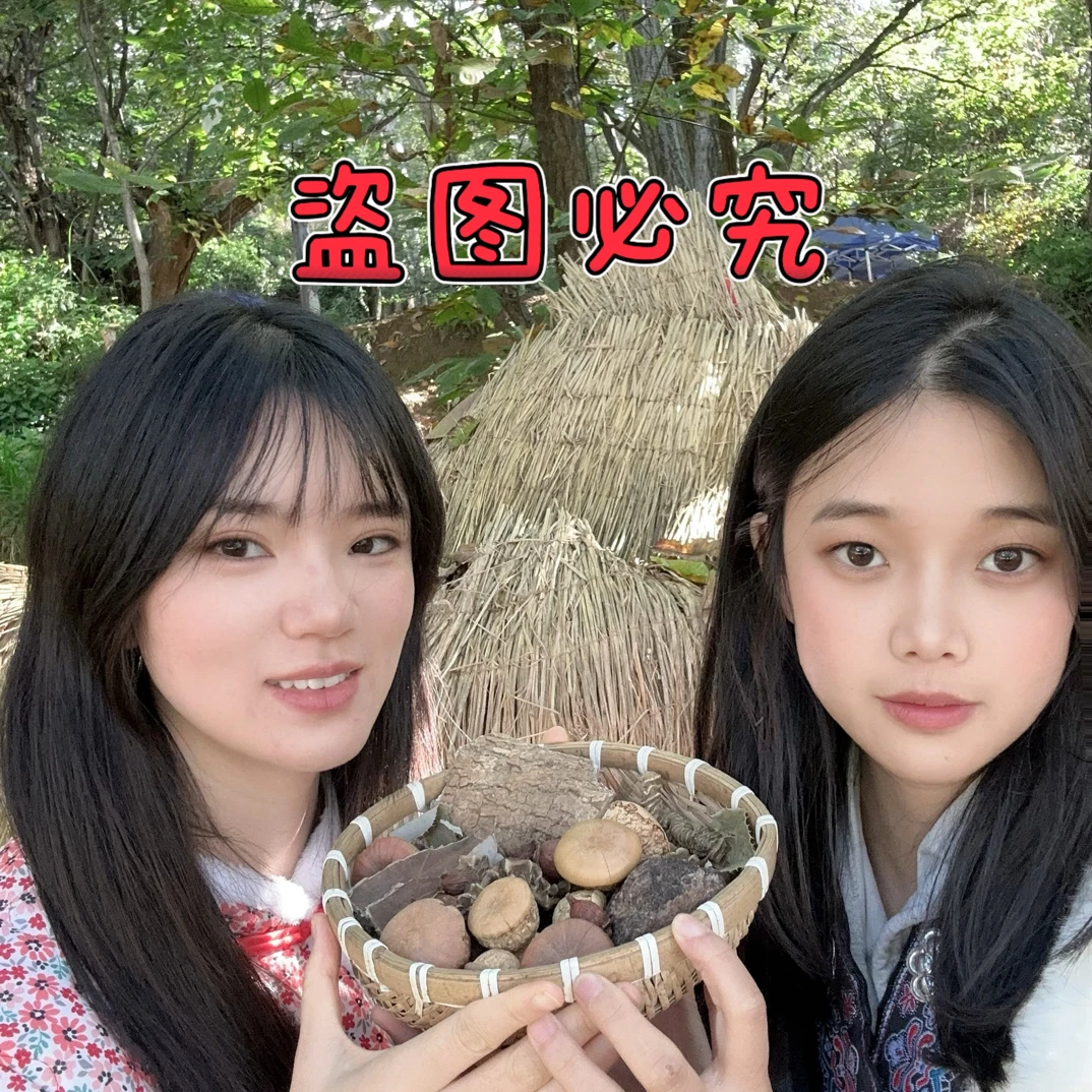 阿妹家的六位泡 高山高海拔 精选原料