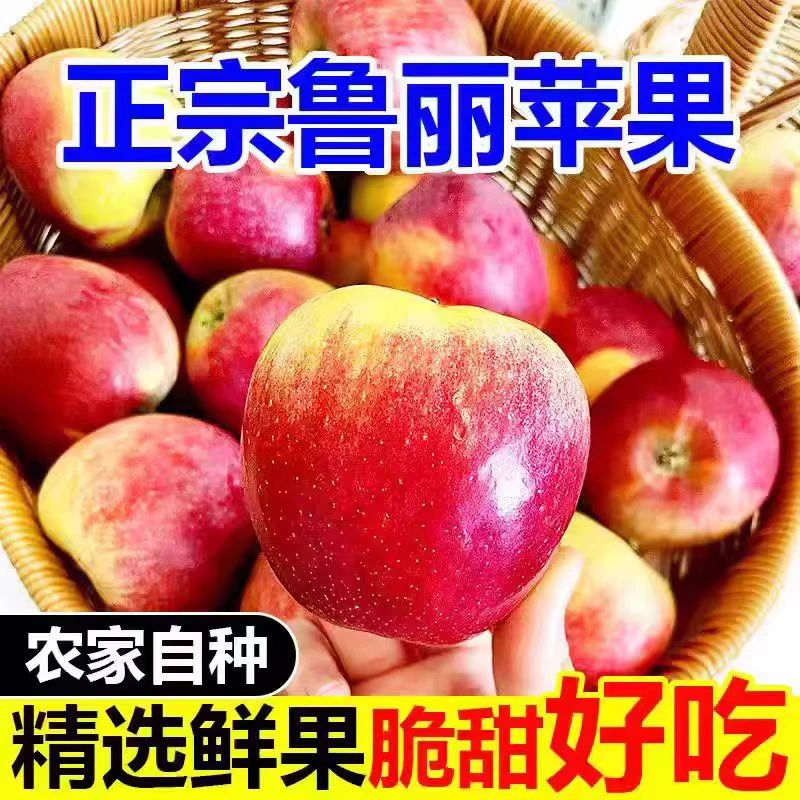 【果园直发】2025年8月新疆鲁丽苹果阿克苏脆甜多汁水果现摘包邮
