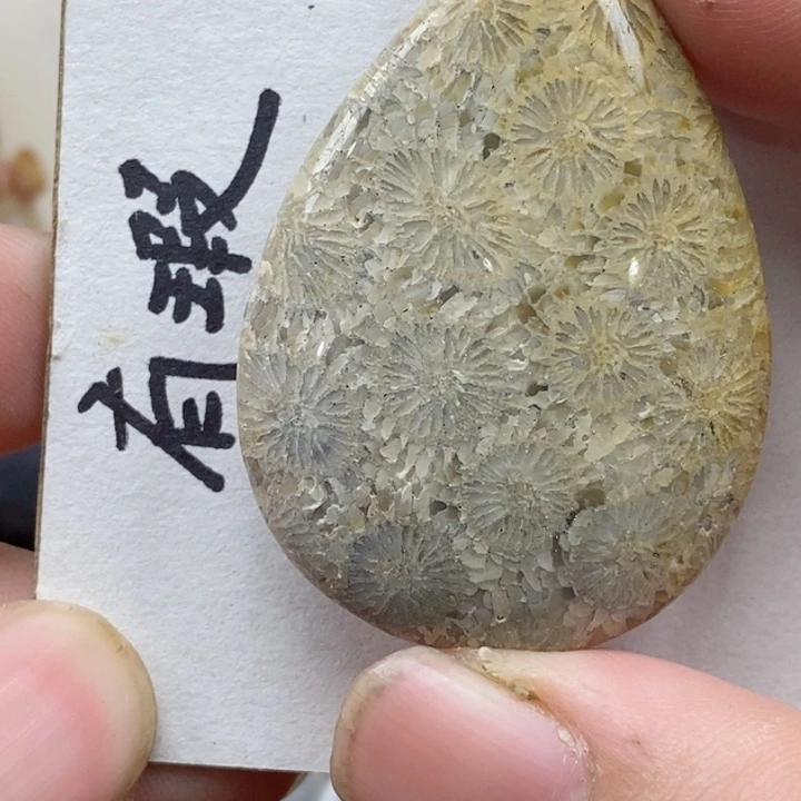 颈饰未镶嵌硅化珊瑚（珊瑚玉）