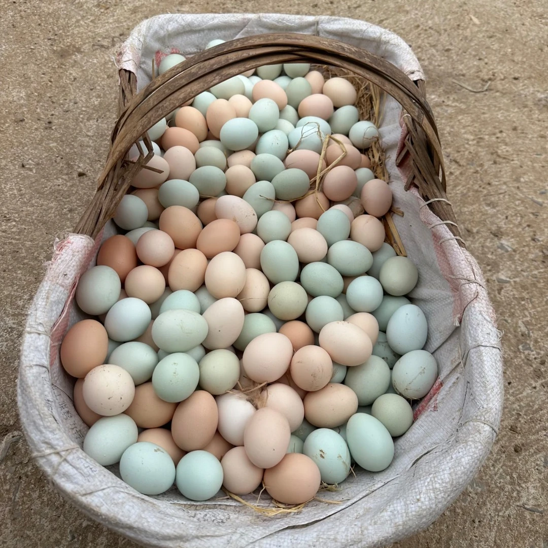 混色鸡蛋农家散养
