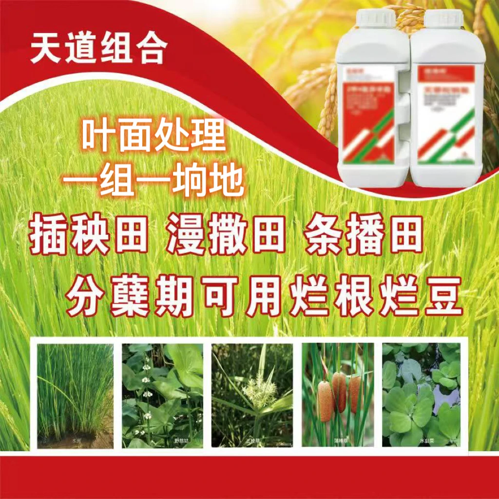 虎林垦沃  天道组合