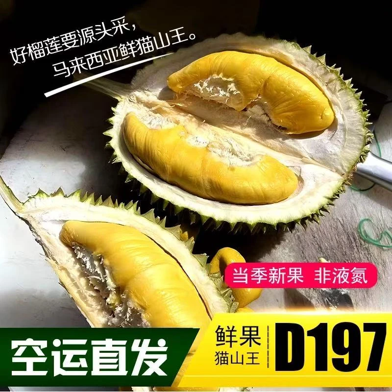 2区【一物一拍】猫山王/黑刺(顺丰空运)