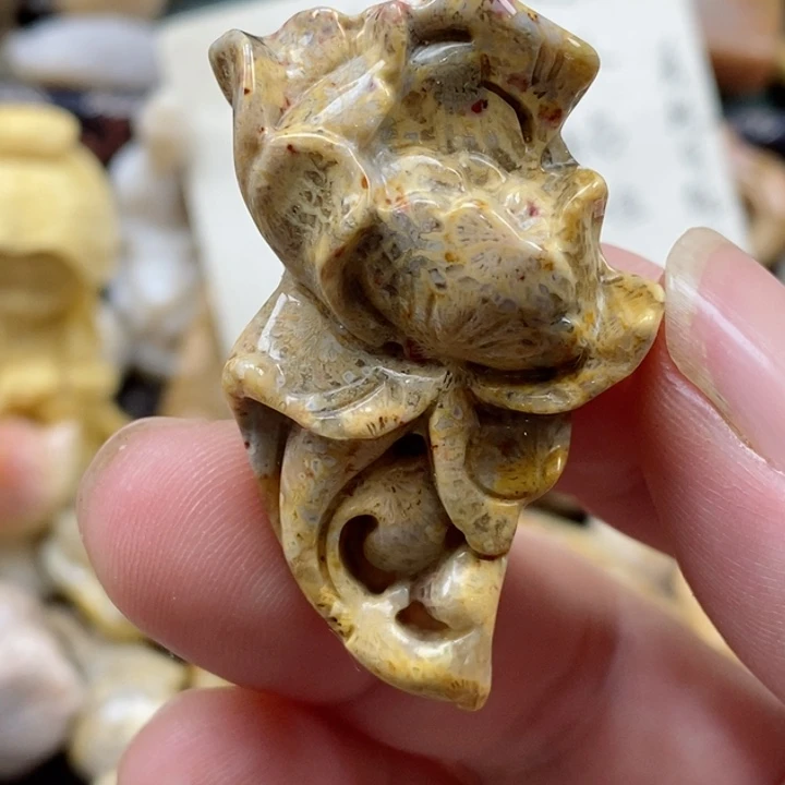 颈饰未镶嵌硅化珊瑚（珊瑚玉）