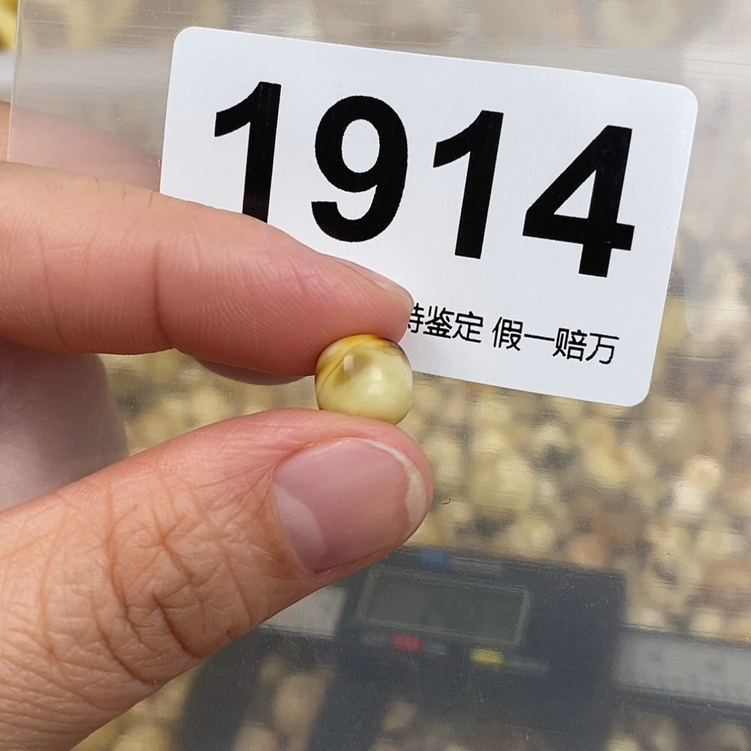 蜜蜡未镶嵌珠宝奇石8.8
