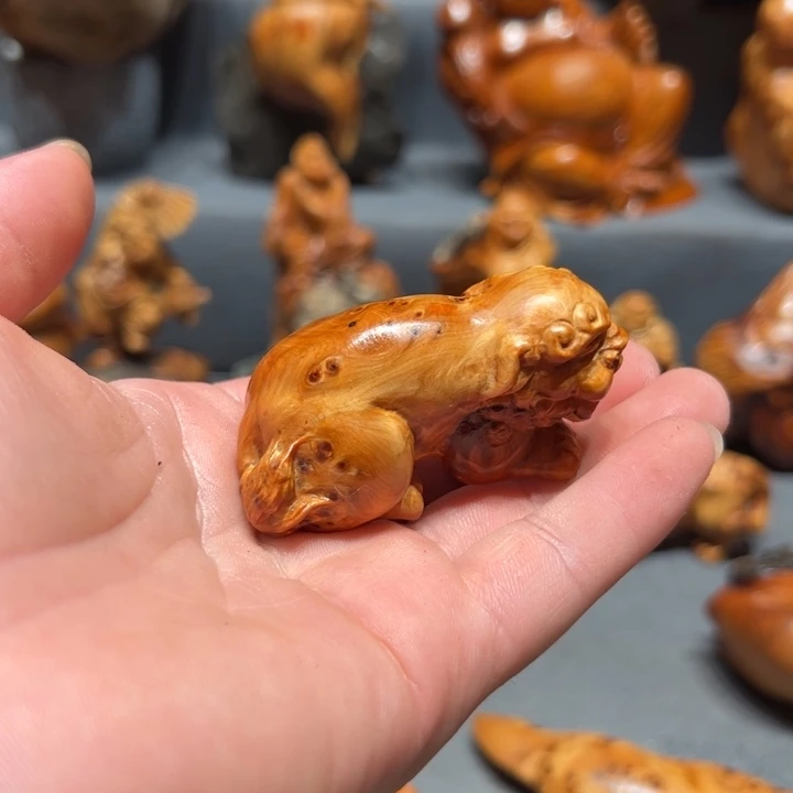 柏木(崖柏)点点关注,感谢分享
