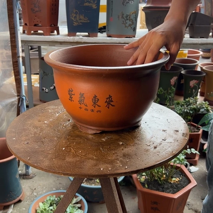 30紫气东来花盆花盆花盆