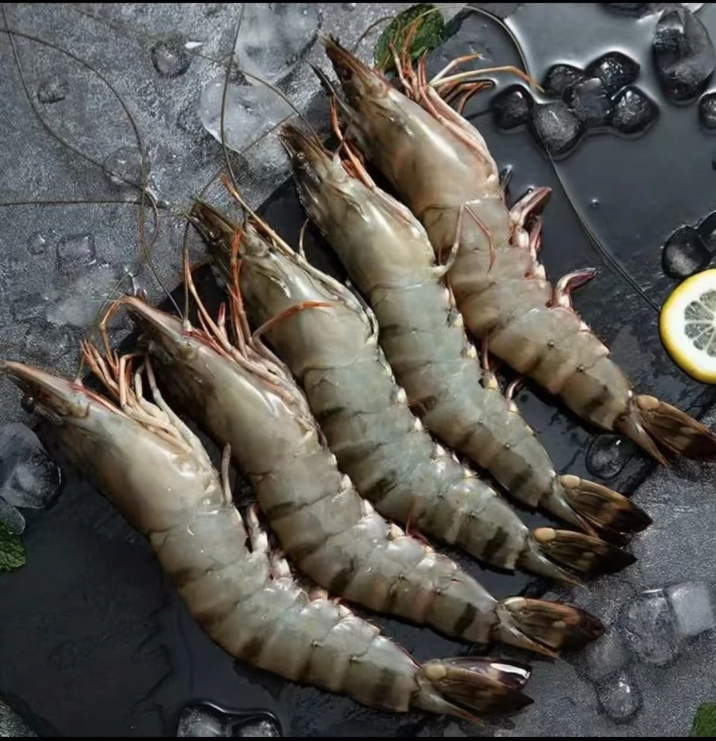 中号黑虎虾  一斤25只 到手3斤  3斤75只左右