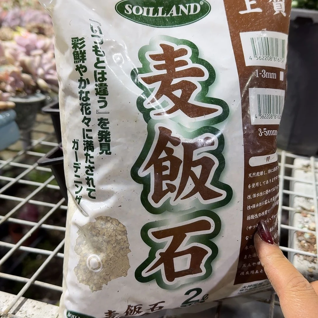 麦饭石多肉植物精品咯