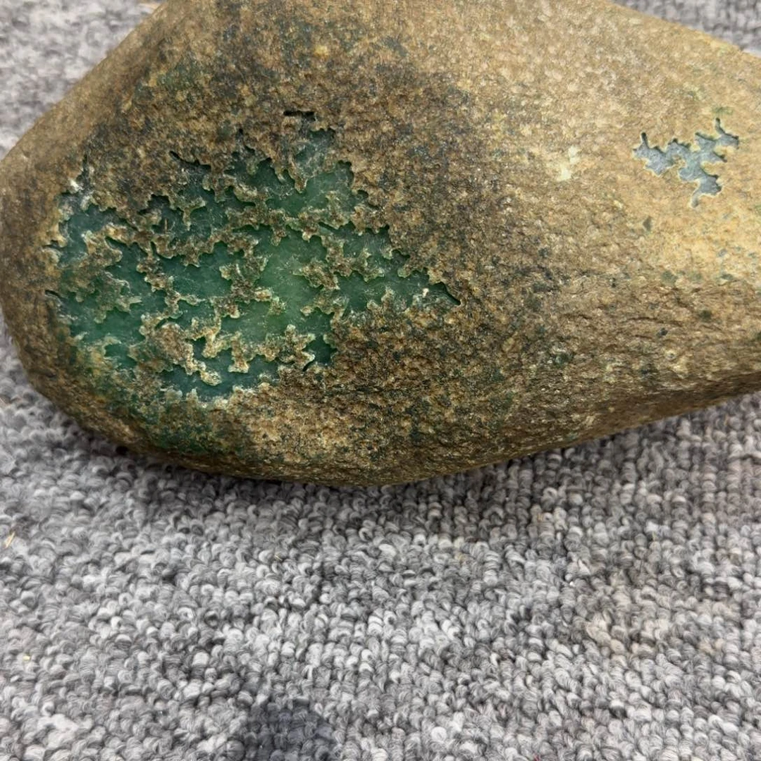 科***沁我也不知道我为什么要