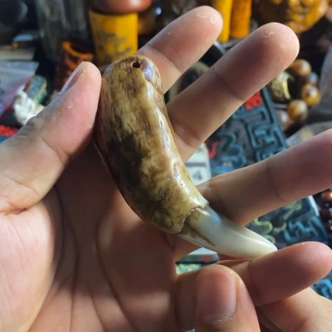 寻呼台的人也太少见