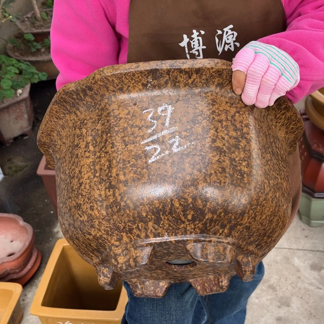 紫砂花盆盆景艺术