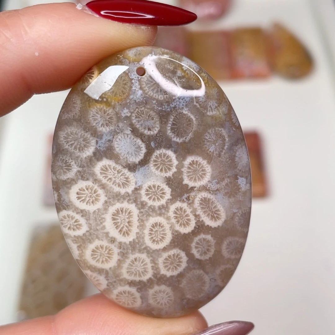 【闪购商品】未镶嵌吊坠(赠链)硅化玉