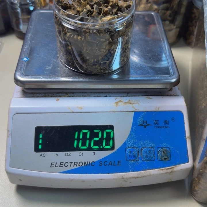 沉香碎屑沉香绿奇楠金沙叶切珠料100g