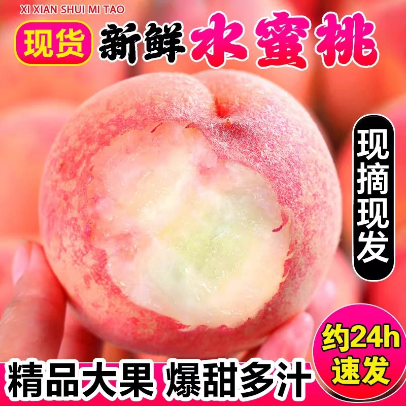 山西正宗现摘水蜜桃新鲜脆甜多汁当季水果