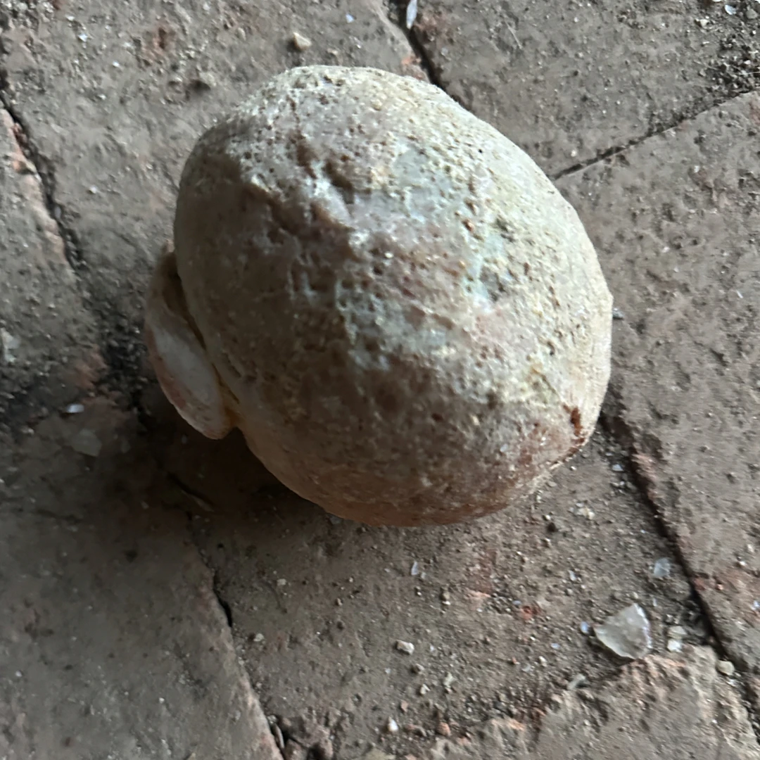 原石专拍拍下后不支持退换