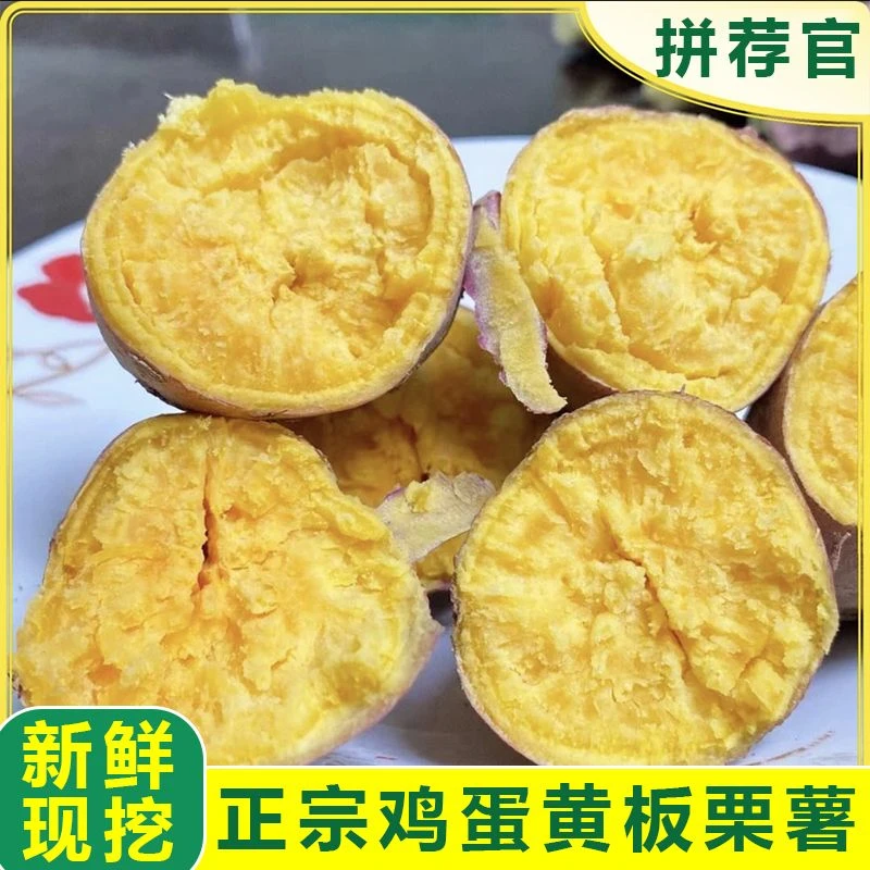 新鲜现挖红心黄心蜜薯干面正宗红薯高原软糯香甜烟薯糖心黄心红薯