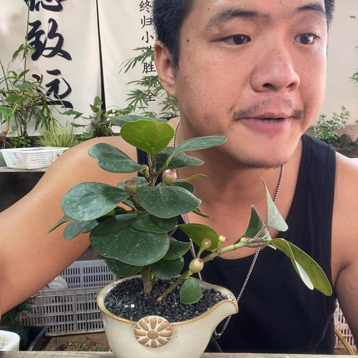 池***友无花朵退款拉黑拉黑237