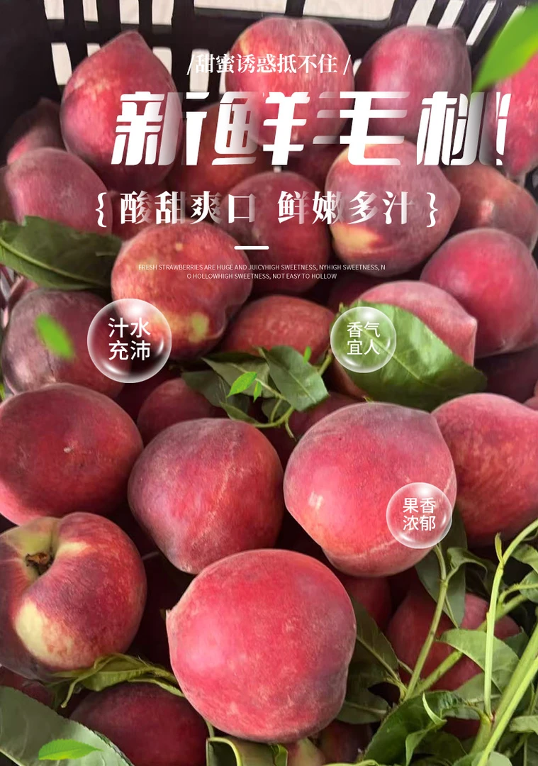云南红宝石毛桃应季水果孕妇水果脆甜多汁