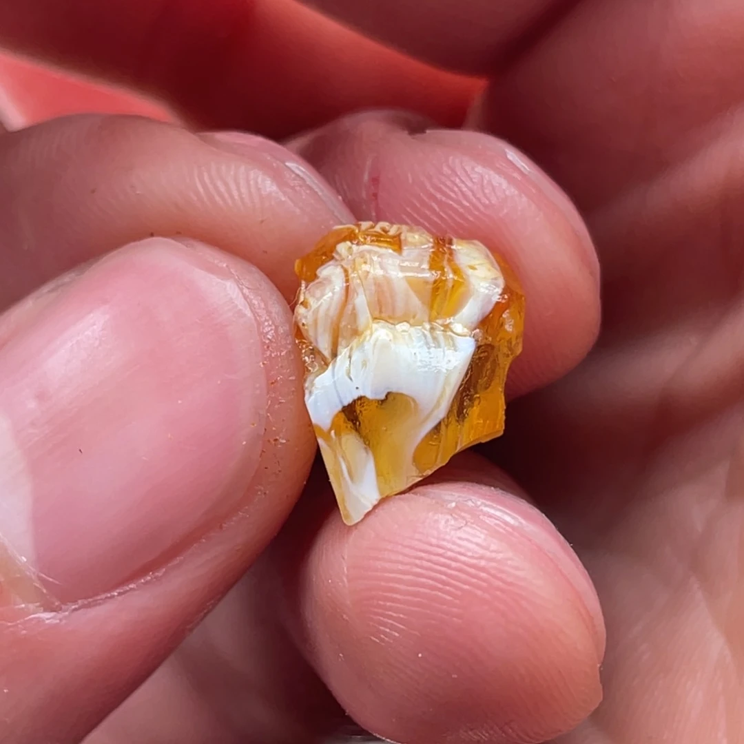 定制琥珀未镶嵌蜜蜡原石定制