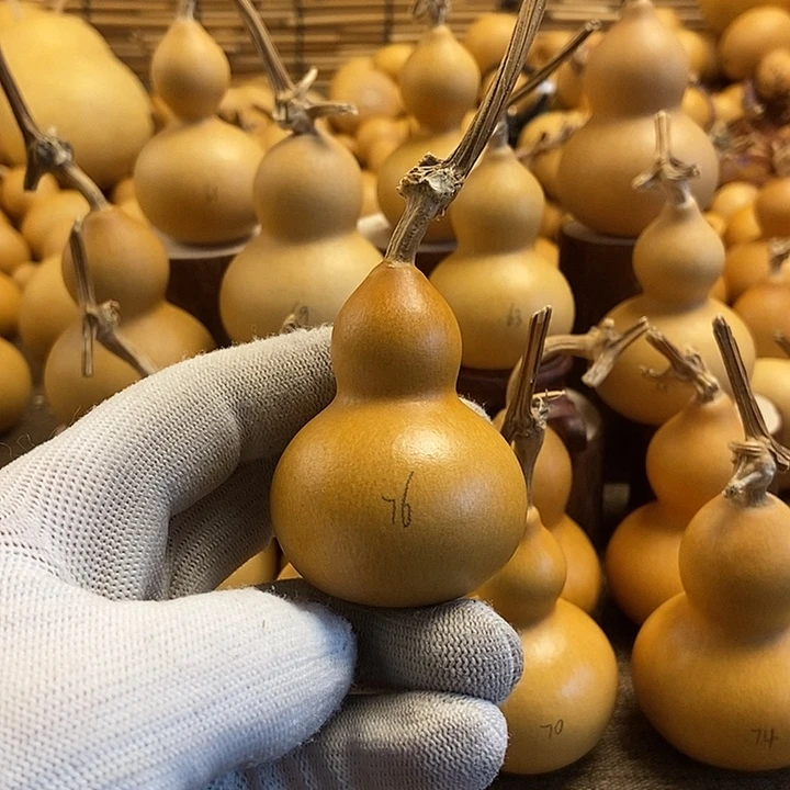 文玩葫芦 完美主义者 慎拍76