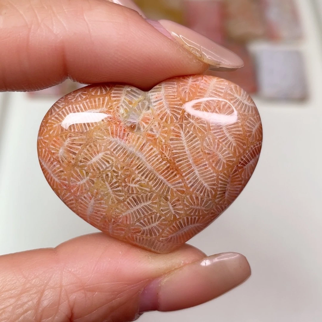 【闪购商品】未镶嵌吊坠(赠链)硅化玉