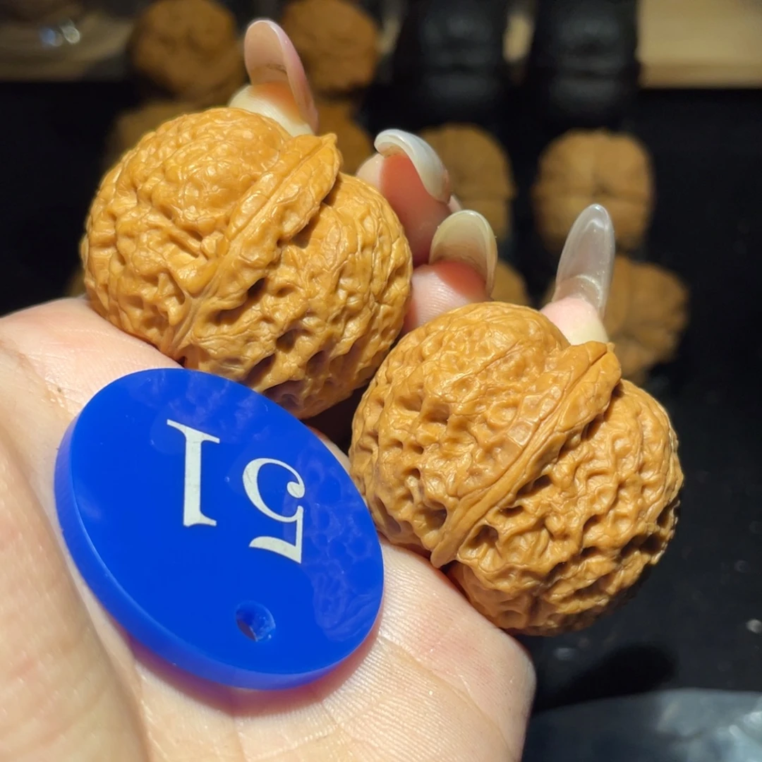 小狮子37尺寸核桃