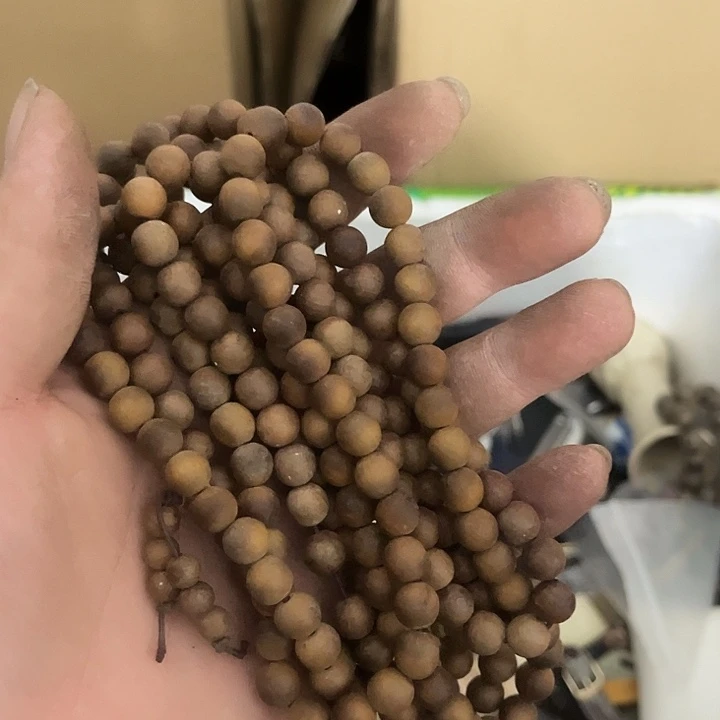 L****杂色豆（科檀/科特迪瓦檀木）