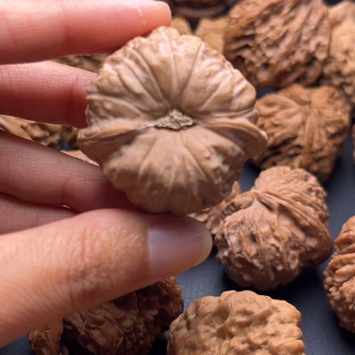 西****！南瓜墩核桃哈哈哈哈哈哈哈哈