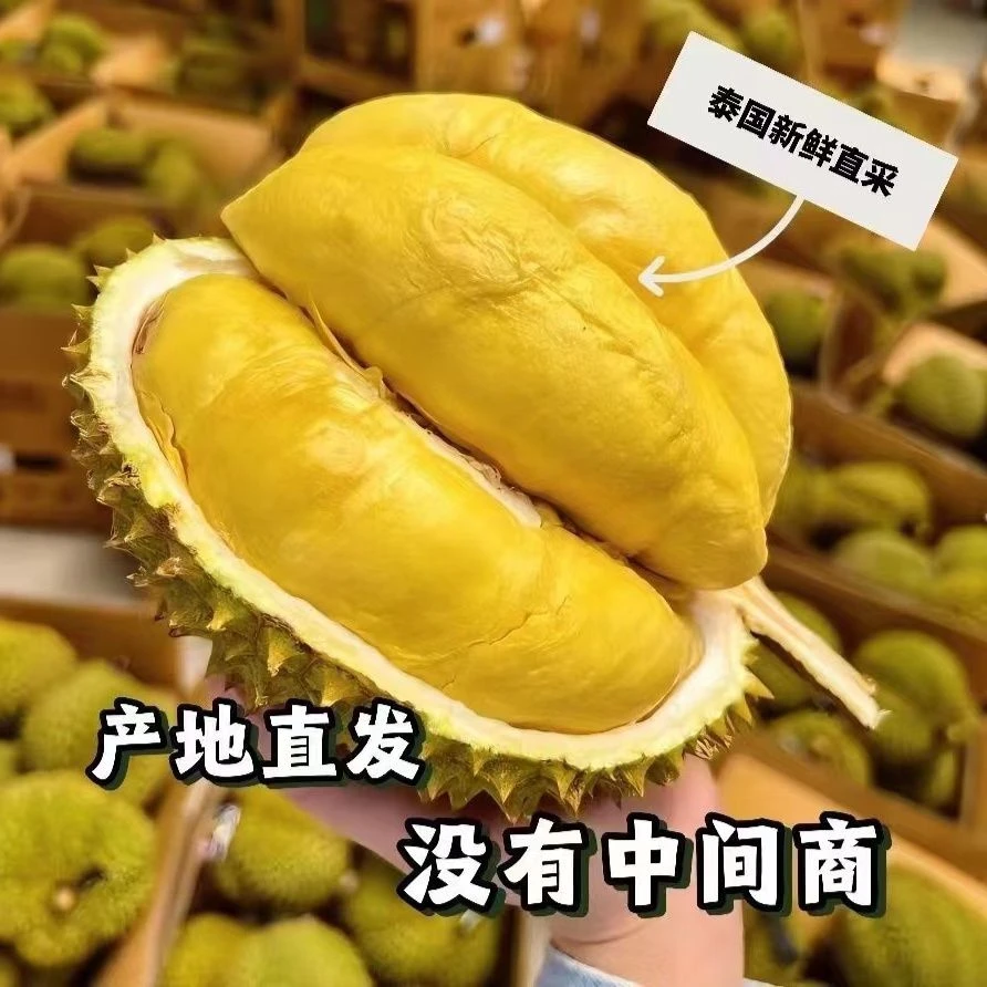 钦州同城小时达配送 金枕榴莲肉约2斤左右，现开现送  新鲜榴莲榴莲核小，榴莲同城配金枕泰国