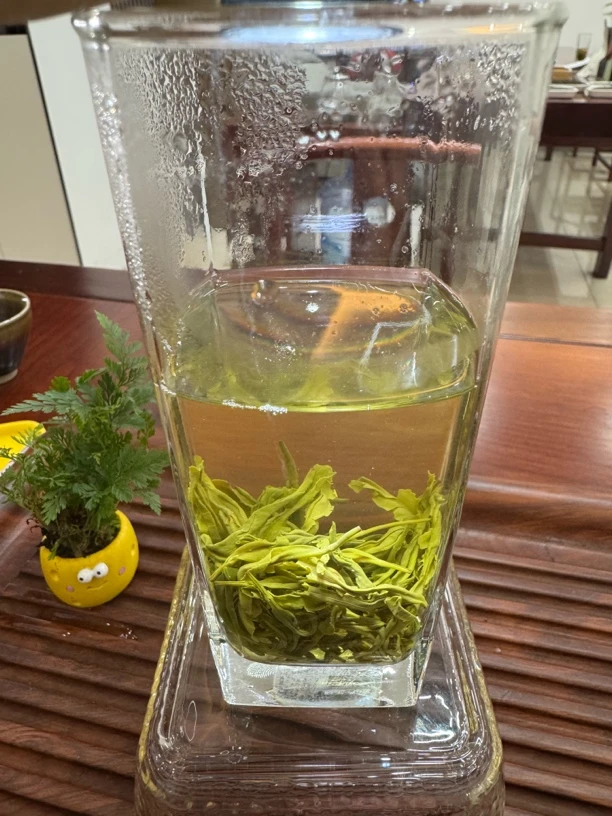 【A06】2025新茶蒙顶山毛峰绿茶茶楼酒店用茶高品质口粮茶浓香耐泡