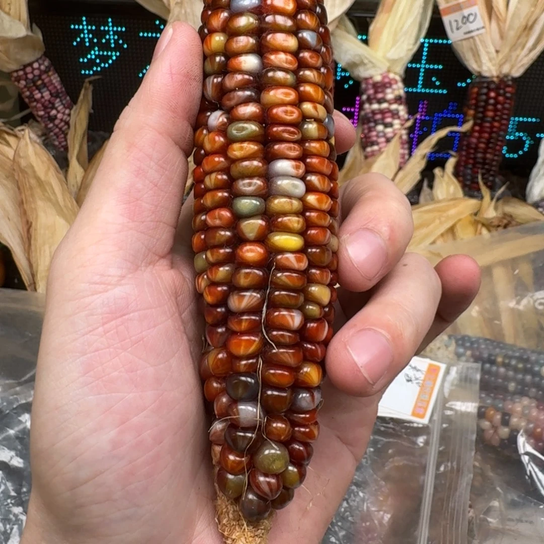 柏香籽/百香籽吊坠桌*?