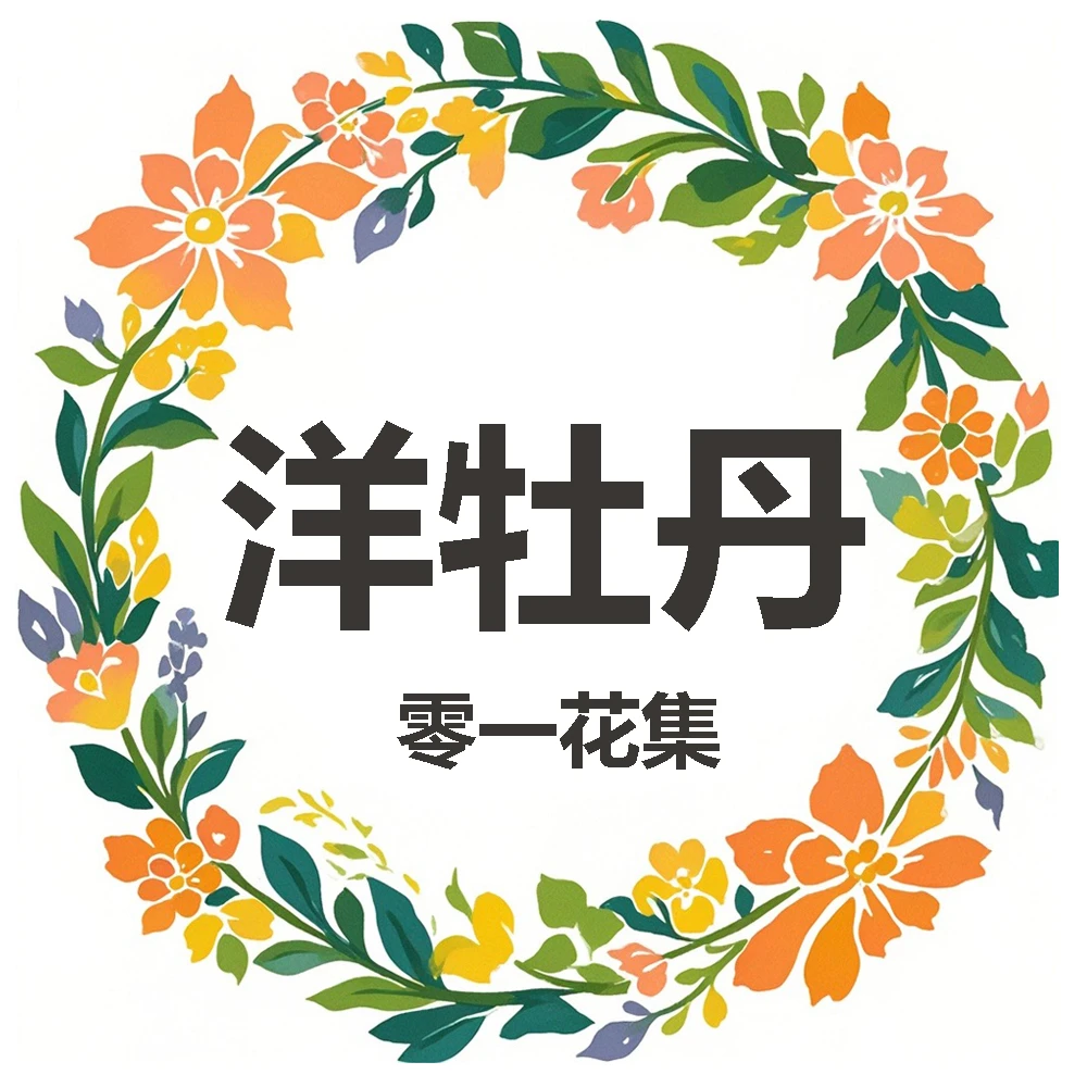 【酒红洋牡丹】【4单包邮顺丰空运部分地区走陆运具体以发货为准】