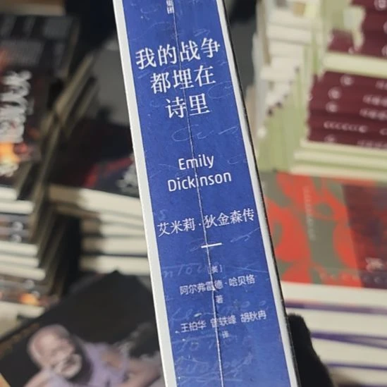 我的战争都埋在诗里，艾米丽狄金森传。