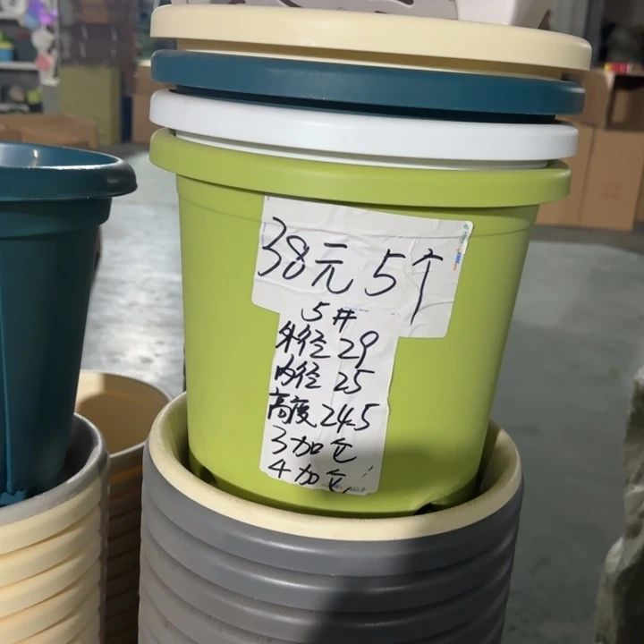 四季5#口径29无托果绿10个