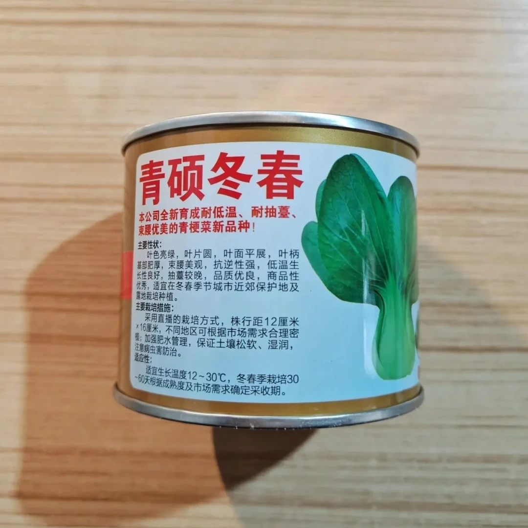 青硕冬春青梗菜种子 耐低温 耐抽苔 品质佳 厂家原包装100克