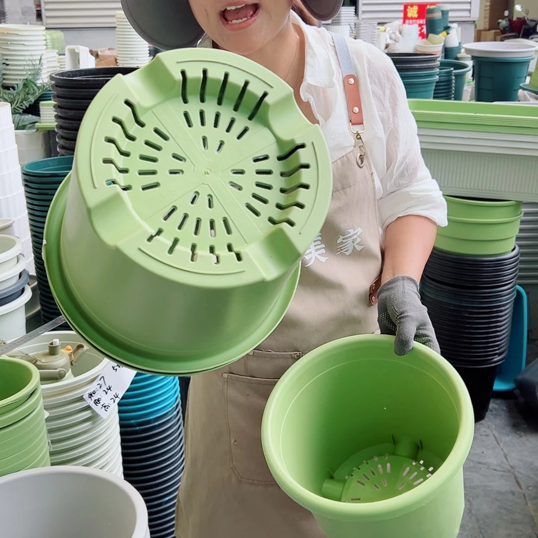 四季盆5#果绿色6个无托