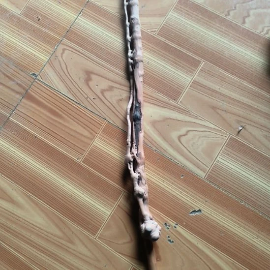 吉***李檬子木烟斗料毛料