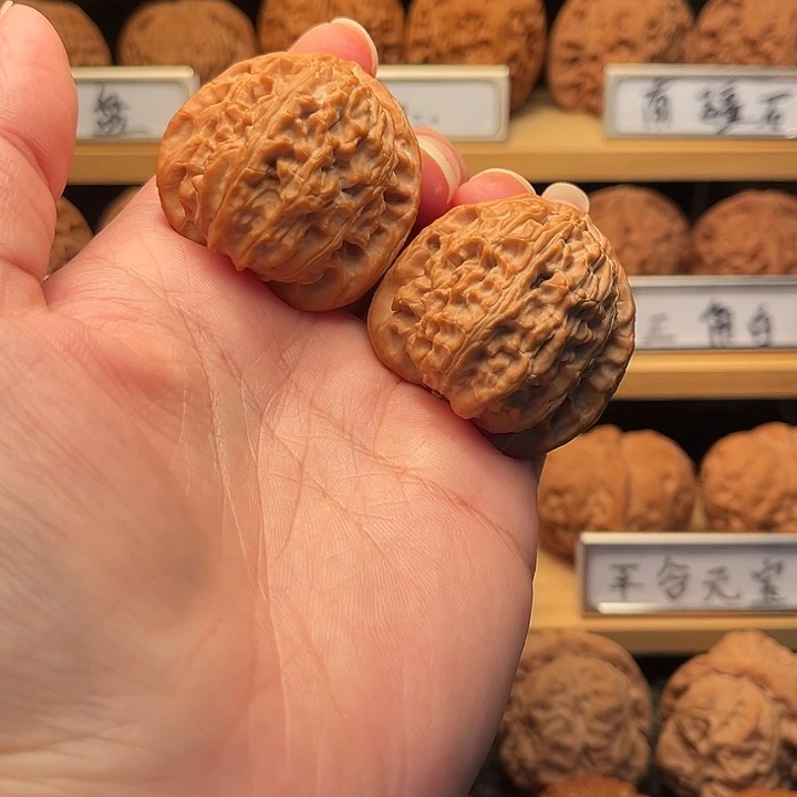 核桃39白狮子。