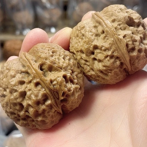 文玩核桃把件铁狮蟾带彩45