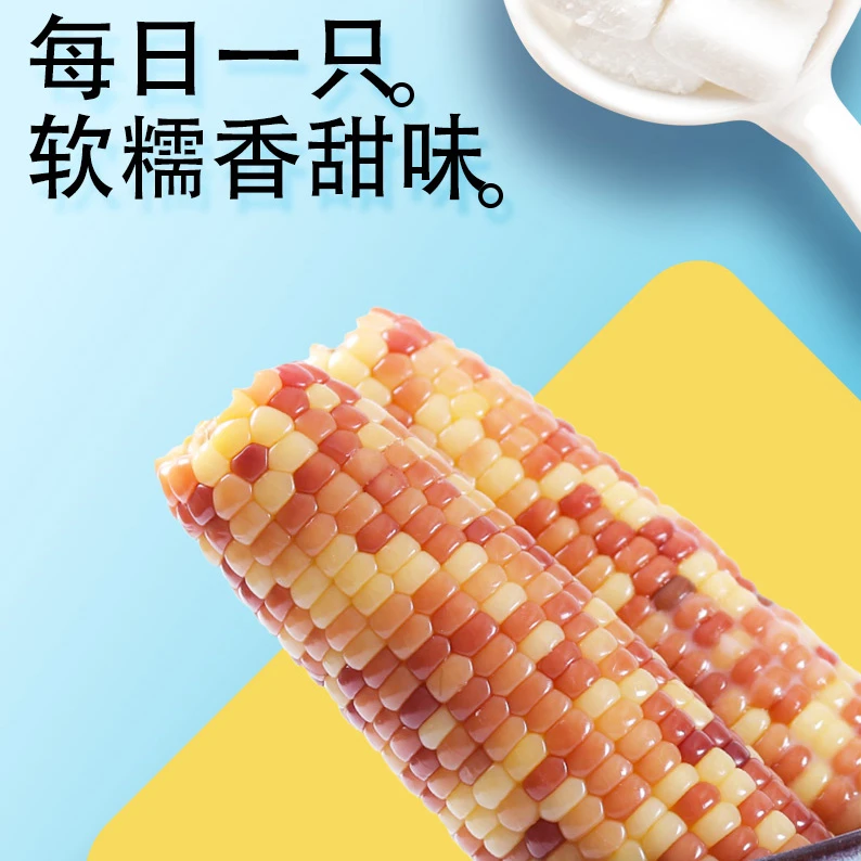 【12只彩甜糯花玉米7斤一箱】2025东北头茬含箱子重量 又甜又糯