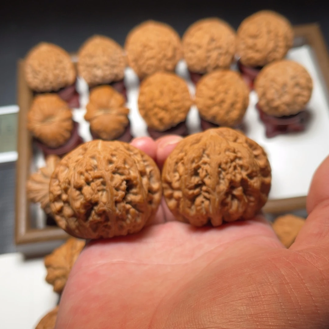 把件文玩核桃球形大粗筋核桃尺寸49