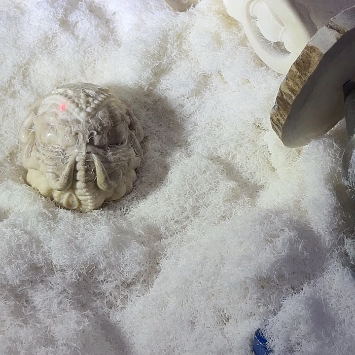 金**线马头雕刻一个鹿角雕刻