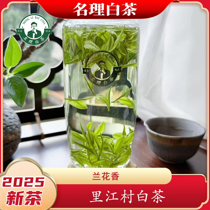 名理白【里江村白茶】助农2025年新茶安吉白茶兰花香原产明前绿茶