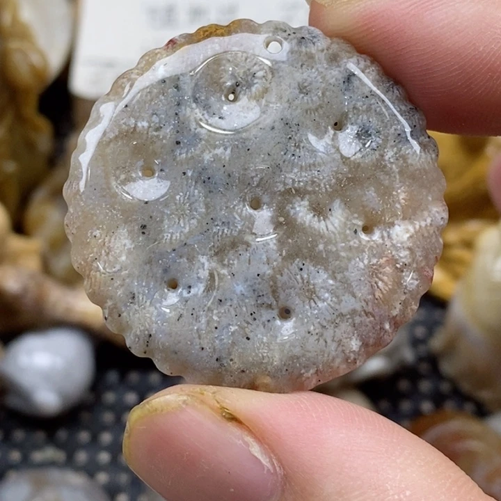 颈饰未镶嵌硅化珊瑚（珊瑚玉）